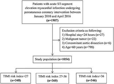 Use of the Thrombolysis in Myocardial Infarction Risk Index for Elderly Patients With ST-Segment Elevation Myocardial Infarction